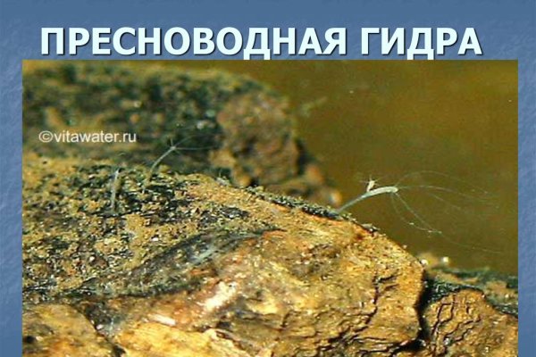 Кракен магазин kraken4am com