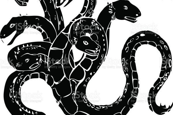 Kraken 24 at