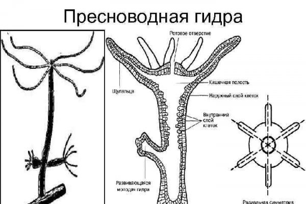 Кракен 20 at
