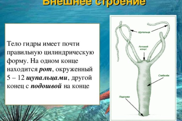 Кракен вход ссылка kraken torion net
